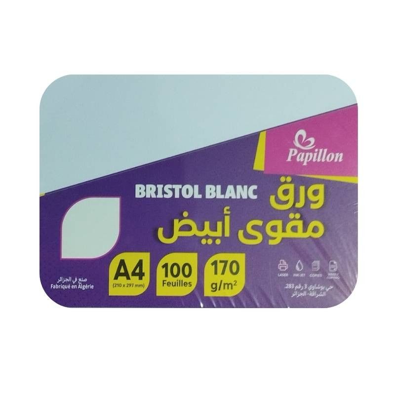 Papier Cartonné Blanc A4 | Pack de 100 Feuilles pour Projets & Impression