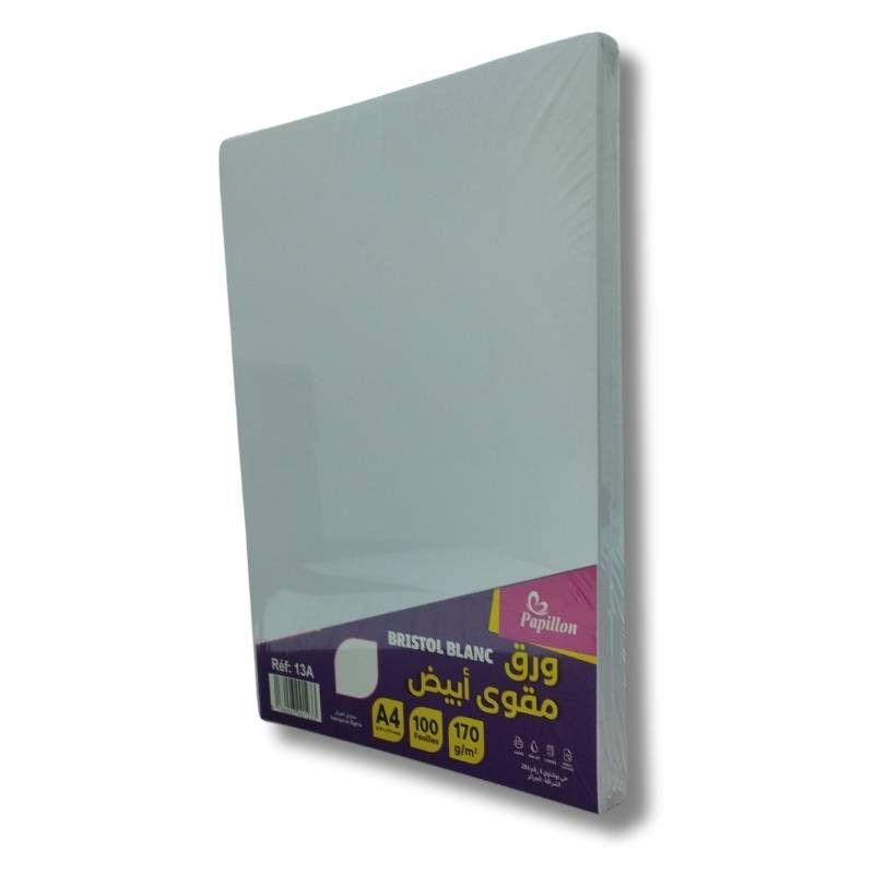 Papier Cartonné Blanc A4 | Pack de 100 Feuilles pour Projets & Impression
