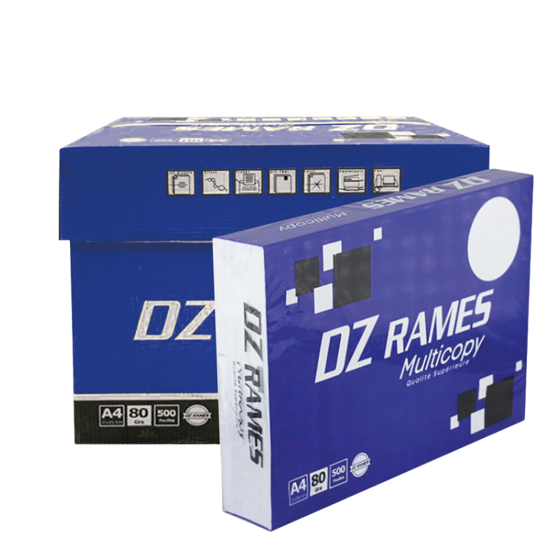 Ram de papaier dz ram b 5 pqt