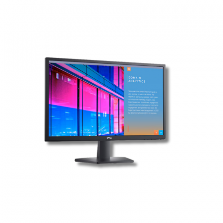 Ecran dell 24 se2422h