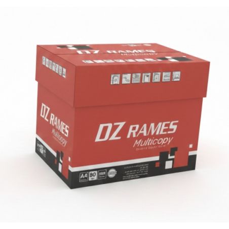 Carton DZ RAM A4 Paper Box (5 Reams) - Qualité & Valeur