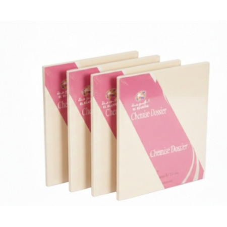 Chemise dossier 100 f