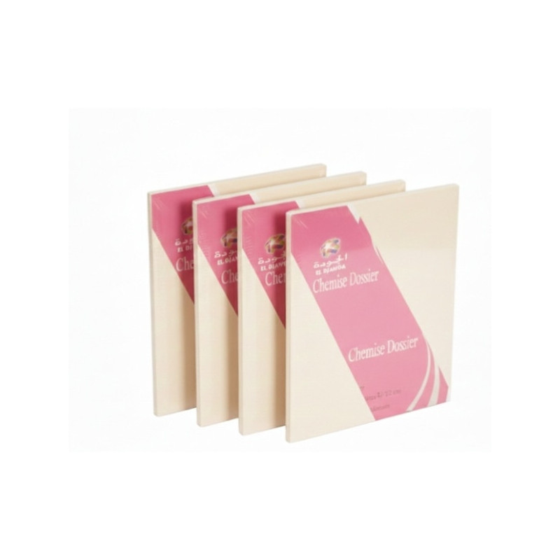 Chemise dossier 100 f