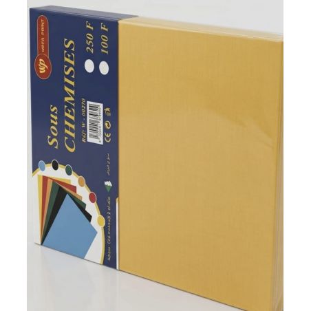 Durable inner folder 100 F - Parfait pour l'organisation des documents