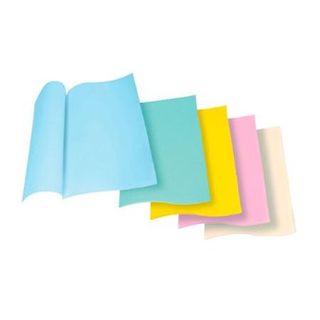 Durable inner folder 100 F - Parfait pour l'organisation des documents